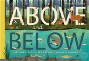 Above and Below (Hegarty Patricia)(Paperback)