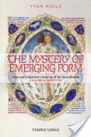 Mystery of Emerging Form - Imma Von Eckardstein's Drawings of the Constellations - A Biological Perspective (Rioux Yvan)(Paperback)