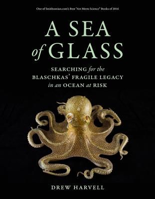Sea of Glass - Searching for the Blaschkas' Fragile Legacy in an Ocean at Risk (Harvell Drew)(Paperback / softback)