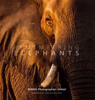 Remembering Elephants(Pevná vazba)