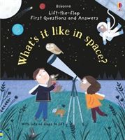 What's it Like in Space? (Daynes Katie)(Board book)