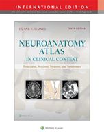 Neuroanatomy Atlas in Clinical Context - Structures, Sections, Systems, and Syndromes (Haines Duane E.)(Paperback / softback)