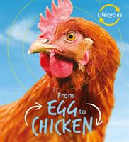 Lifecycles: Egg to Chicken (de la Bedoyere Camilla)(Paperback / softback)
