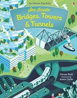 See Inside Bridges, Towers and Tunnels (Reid Struan)(Board book)