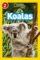Koalas (Marsh Laura)(Paperback)