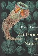 Art Forms in Nature - Prints of Ernst Haekel (Breidbach Olaf)(Paperback)