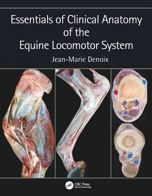Essentials of Clinical Anatomy of the Equine Locomotor System (Denoix Jean-Marie (CIRALE-Hippolia Goustranville France))(Pevná vazba)
