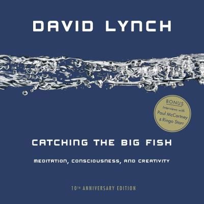 Catching the Big Fish: Meditation, Consciousness, and Creativity (Lynch David)(Paperback)