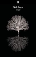 Elegy (Payne Nick)(Paperback)