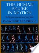 Human Figure in Motion (Muybridge Eadweard)(Pevná vazba)