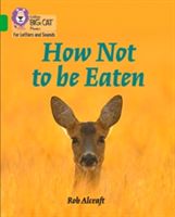 How Not to Be Eaten - Band 6/Orange(Paperback)