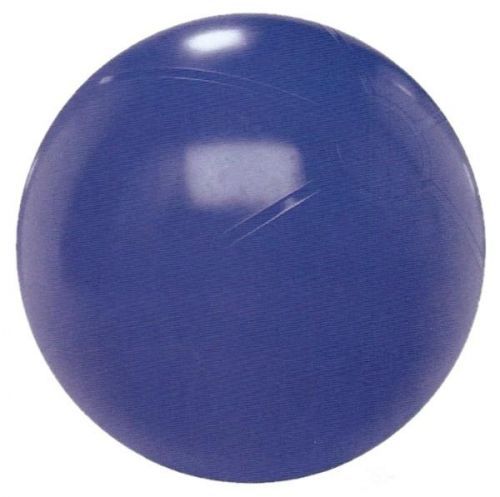 Sedco Gymnastický míč EXTRA FITBALL 55 cm