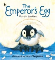 Emperor's Egg (Jenkins Martin)(Paperback)
