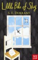 Little Bits of Sky (Durrant S. E.)(Paperback)