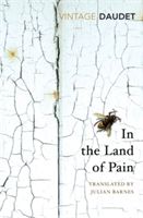 In the Land of Pain (Daudet Alphonse)(Paperback)