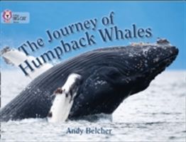 Journey of Humpback Whales(Paperback)