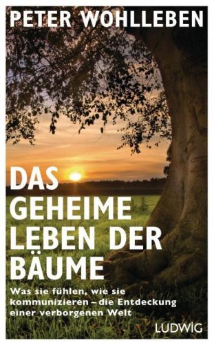 Das geheime Leben der Bume (Wohlleben Peter)(Pevná vazba)(v němčině)