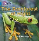 Rainforest at Night - Band 04/Blue (Bishop Nic)(Paperback)