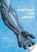 Atlas of Anatomy for Artists (Schider Fritz)(Paperback)