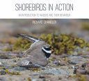 Shorebirds in Action - An Introduction to Waders and Their Behaviour (Chandler Richard)(Paperback)