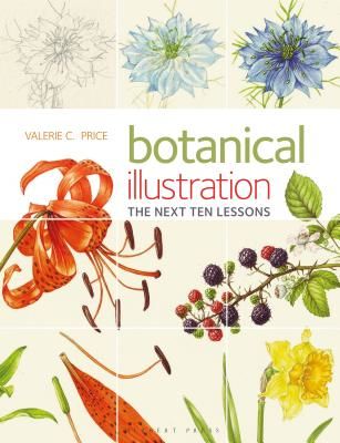 Botanical Illustration the Next Ten Lessons: Colour and Composition (Price Valerie)(Paperback / softback)