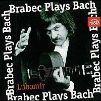 Lubomír Brabec – Bach: Preludium, Fuga a Allegro D dur / Suita e moll .... MP3