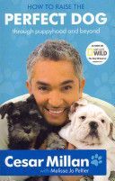 How to Raise the Perfect Dog - Through Puppyhood and Beyond (Millan Cesar)(Paperback)