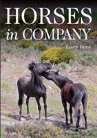 Horses in Company (Rees Lucy)(Paperback)