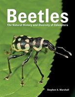 Beetles - The Natural History and Diversity of Coleoptera (Marshall Stephen A.)(Pevná vazba)