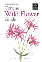 Concise Wild Flower Guide (Bloomsbury)(Paperback / softback)