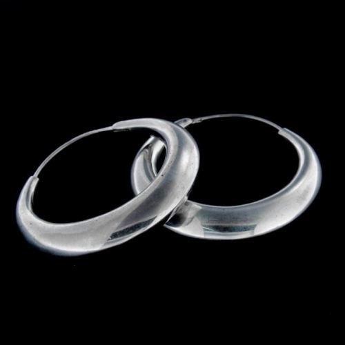 Stříbrné náušnice 13699