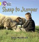 Sheep to Jumper (MacDonald Fiona)(Paperback)
