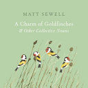 Charm of Goldfinches and Other Collective Nouns (Sewell Matt)(Pevná vazba)