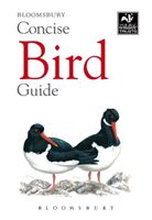 Concise Bird Guide (Bloomsbury)(Paperback / softback)