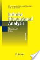 Infinite Dimensional Analysis - A Hitchhiker's Guide (Aliprantis Charalambos D.)(Paperback)