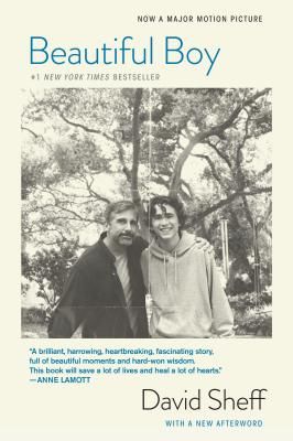 Beautiful Boy (Tie-In): A Father's Journey Through His Son's Addiction (Sheff David)(Paperback)