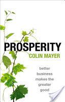 Prosperity - Better Business Makes the Greater Good (Mayer Colin (Peter Moores Professor of Management Studies Said Business School University of Oxford UK))(Pevná vazba)