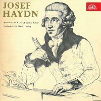 Symfonický orchestr hl. m. Prahy FOK, Martin Turnovský – Haydn,J. Symfonie č. 94, 101 MP3