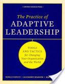 Practice of Adaptive Leadership - Tools and Tactics for Changing Your Organization and the World (Heifetz Ronald A.)(Pevná vazba)