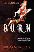 Burn (Baggott Julianna)(Paperback)