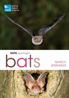 RSPB Spotlight Bats (Jennings Nancy)(Paperback / softback)