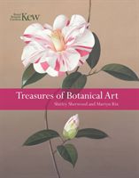 Treasures of Botanical Art (Sherwood Shirley)(Pevná vazba)