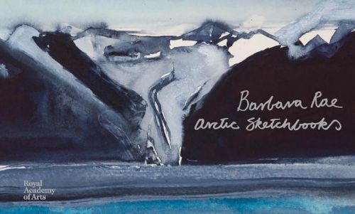 Barbara Rae - Arctic Sketchbooks (Rae Barbara)(Pevná vazba)