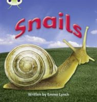 Snails (Lynch Emma)(Paperback / softback)