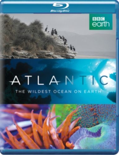 Atlantic - The Wildest Ocean On Earth (Blu-ray)