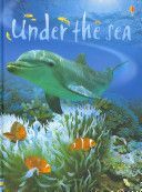 Under the Sea (Patchett Fiona)(Pevná vazba)