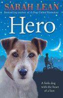 Hero (Lean Sarah)(Paperback)