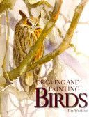 Drawing and Painting Birds (Wootton Tim)(Paperback)