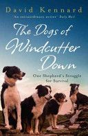 Dogs of Windcutter Down - One Shepherd's Struggle for Survival (Kennard David)(Paperback)