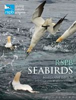 Rspb Seabirds (Taylor Marianne)(Pevná vazba)